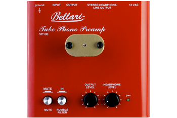 Enlarged view of image